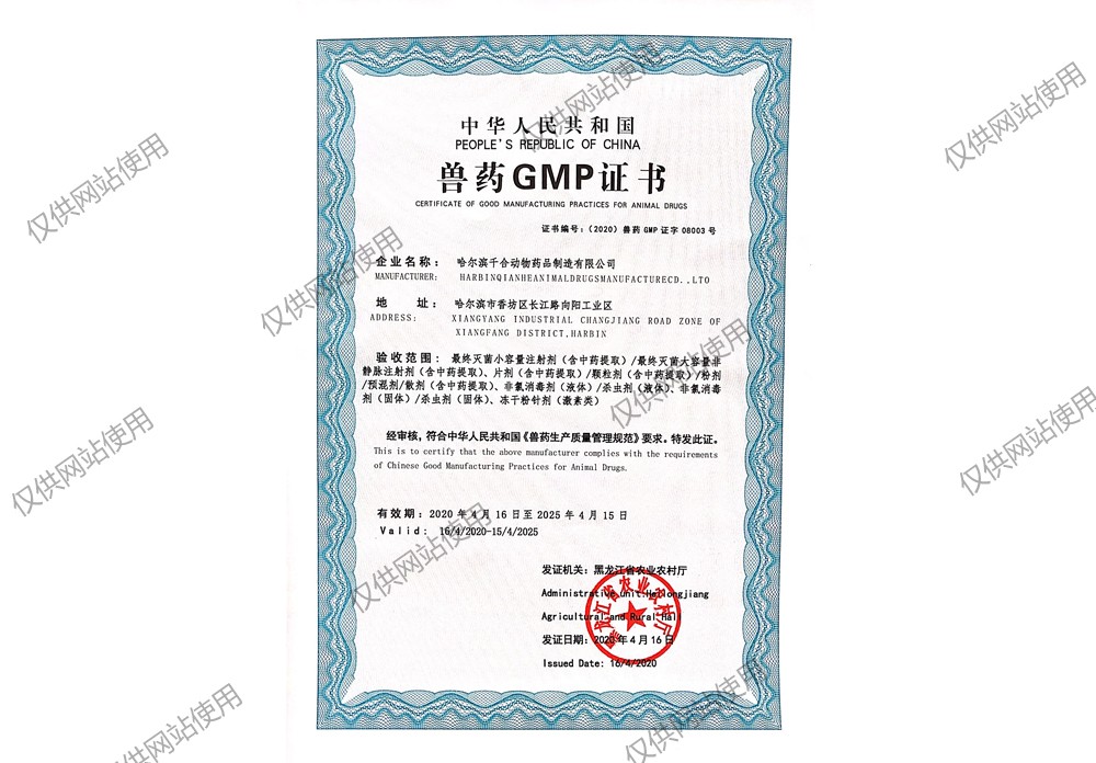 荣誉3.jpg